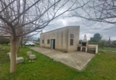Detached villa with land for sale on España, Xerta, ref: TR339186 photo