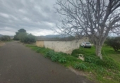 Detached villa with land for sale on España, Xerta, ref: TR339186 photo