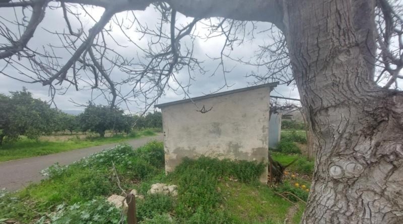 Tarragona - Xerta - 6188m2