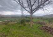 Detached villa with land for sale on España, Xerta, ref: TR339186 photo