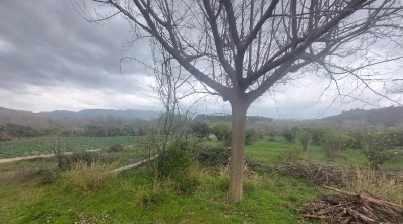 Tarragona - Xerta - 6188m2