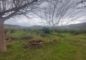 Detached villa with land for sale on España, Xerta, ref: TR339186 photo