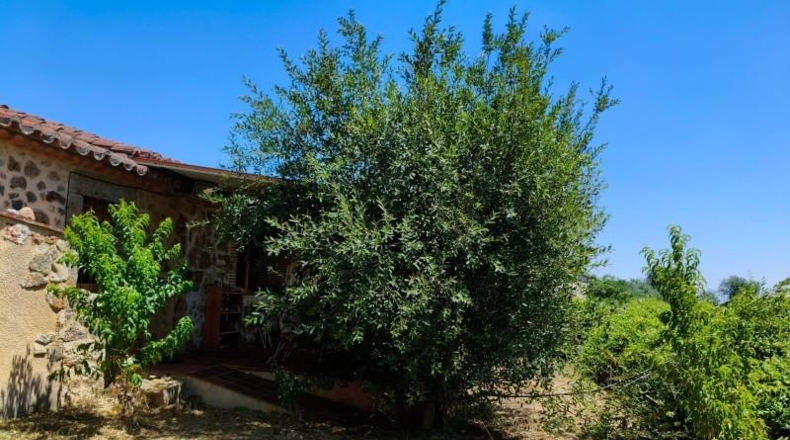 Salamanca - Canillas de Abajo - 400m2