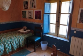 Foto 15