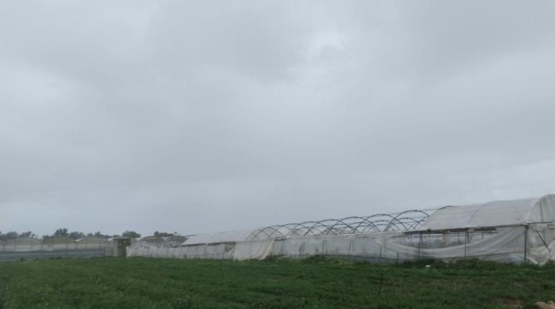 Cádiz - Chipiona - 5000m2