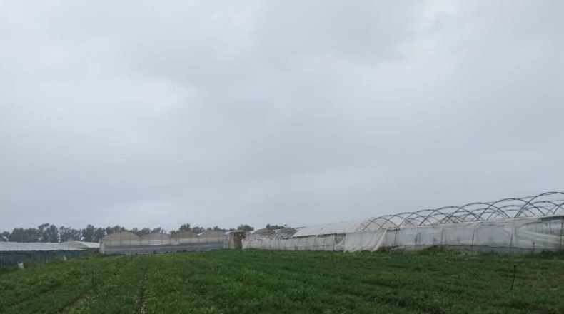 Cádiz - Chipiona - 5000m2