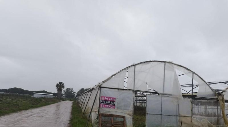 Cádiz - Chipiona - 5000m2
