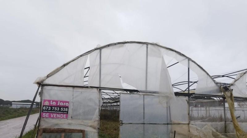 Cádiz - Chipiona - 5000m2