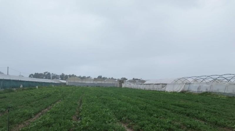 Cádiz - Chipiona - 5000m2