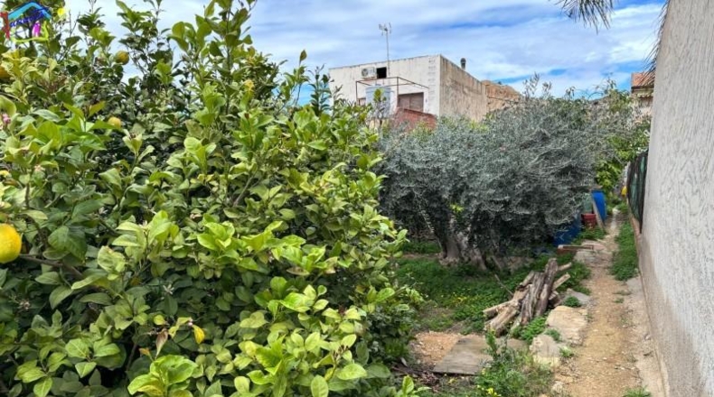 Múrcia - Archena - 367m2