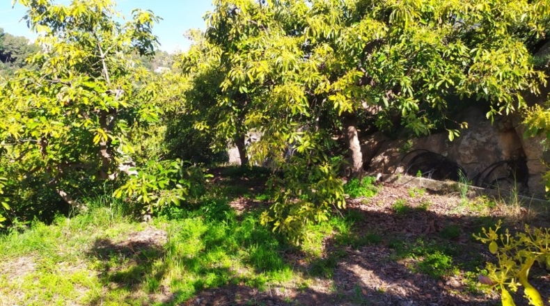 Málaga - Frigiliana - 2200m2
