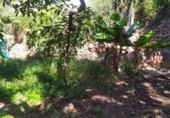 House with land for sale on España, Frigiliana, ref: TR288142 photo
