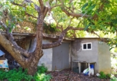 House with land for sale on España, Frigiliana, ref: TR288142 photo