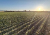 Non-developable land for sale on España, Purchil, ref: TR218243 photo