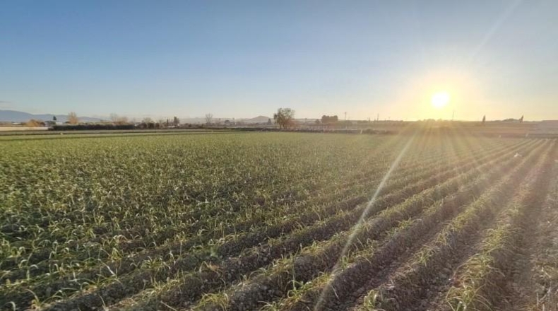 Salamanca - Mozárbez - 9500m2