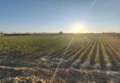 Non-developable land for sale on España, Purchil, ref: TR218243 photo