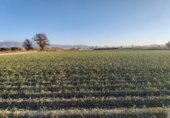 Non-developable land for sale on España, Purchil, ref: TR218243 photo