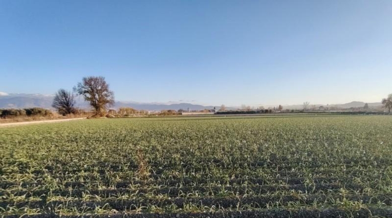 Salamanca - Mozárbez - 9500m2
