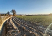 Non-developable land for sale on España, Purchil, ref: TR218243 photo