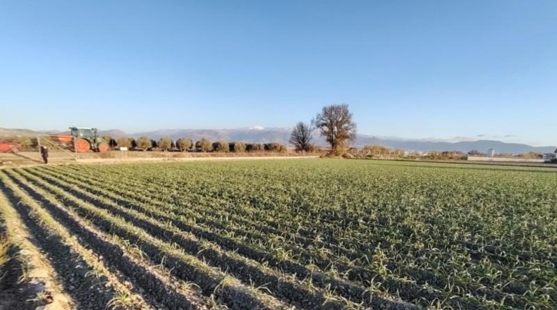 Salamanca - Mozárbez - 9500m2