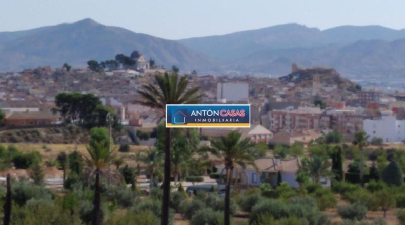 Alicante - Monóvar - 10000m2