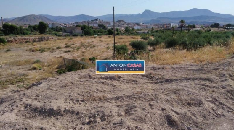 Alicante - Monóvar - 10000m2