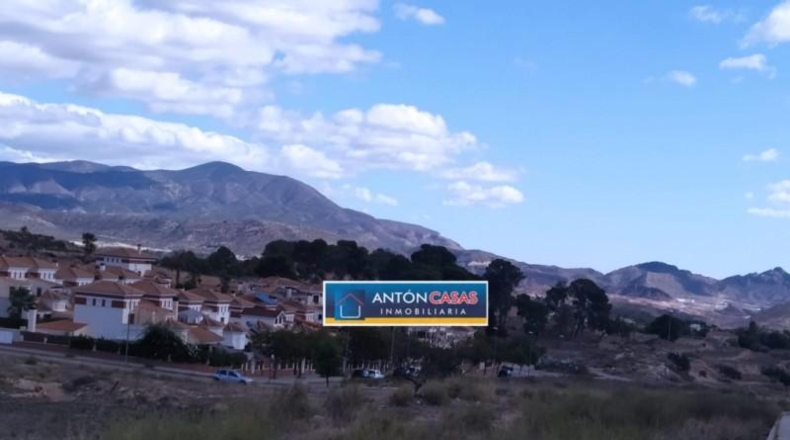 Alicante - Monóvar - 10000m2