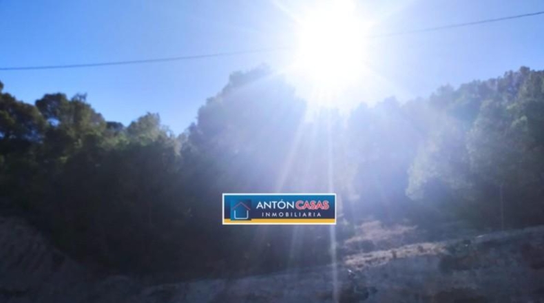 Alicante - Monóvar - 10000m2