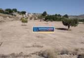 Non-developable land for sale on España, Monóvar, ref: TR287899 photo