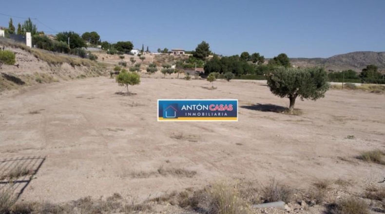 Alicante - Monóvar - 10000m2