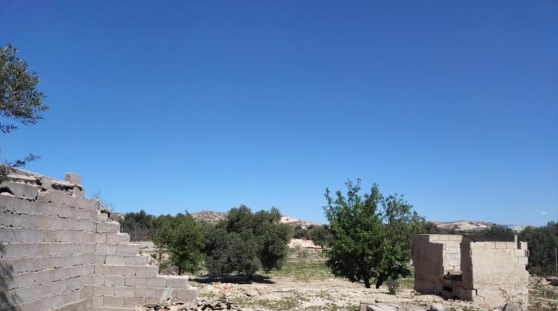 Murcia - Alcantarilla - 7000m2
