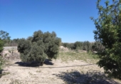 Casa de camp amb terreny en venda a la España, Múrcia, ref.: TR286795 foto