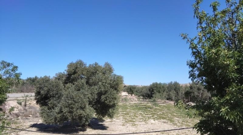 Murcia - Alcantarilla - 7000m2