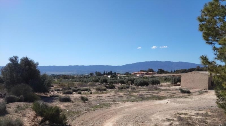 Murcia - Alcantarilla - 7000m2