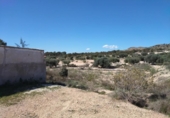 Casa de camp amb terreny en venda a la España, Múrcia, ref.: TR286795 foto