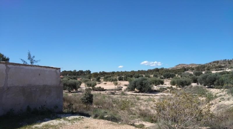 Murcia - Alcantarilla - 7000m2