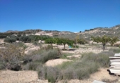 Casa de camp amb terreny en venda a la España, Múrcia, ref.: TR286795 foto