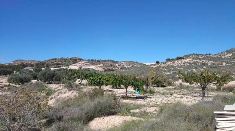 Murcia - Alcantarilla - 7000m2