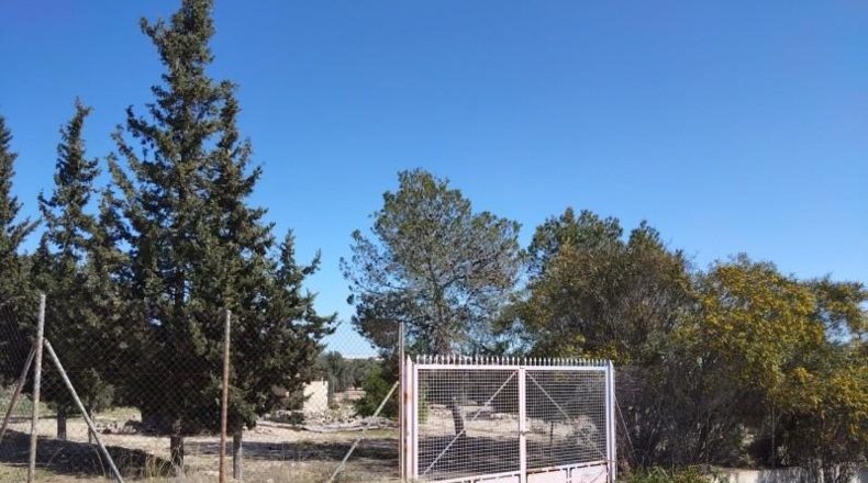 Murcia - Alcantarilla - 7000m2