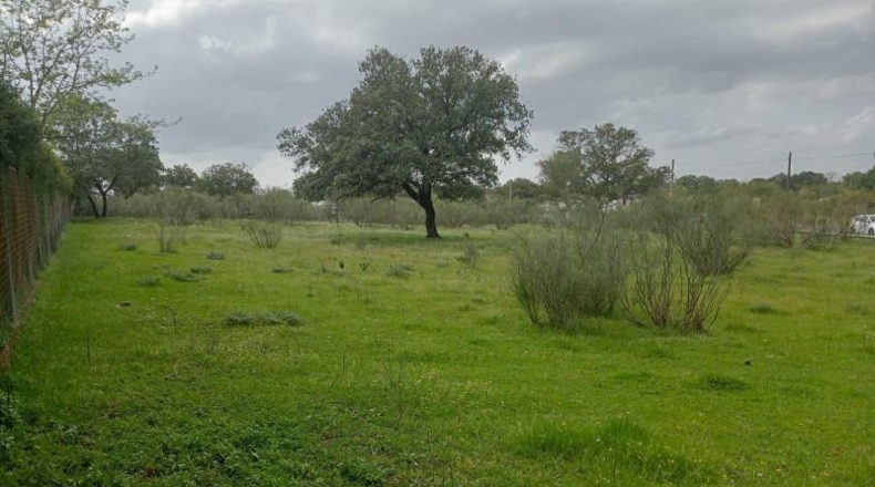 Sevilla - Castilblanco de los Arroyos - 4764m2