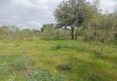 Sòl urbà en venda a la España, Castilblanco de los Arroyos, ref.: TR286242 foto