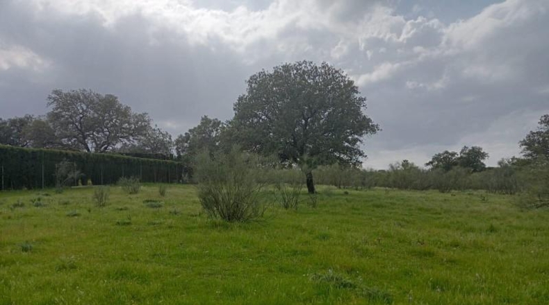 Sevilla - Castilblanco de los Arroyos - 4764m2