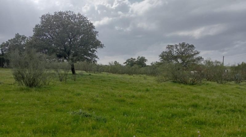 Sevilla - Castilblanco de los Arroyos - 4764m2