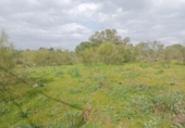 Sòl urbà en venda a la España, Castilblanco de los Arroyos, ref.: TR286242 foto