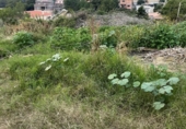 Parcel·la urbanitzable en venda a la España, el Vendrell, ref.: TR321088 foto