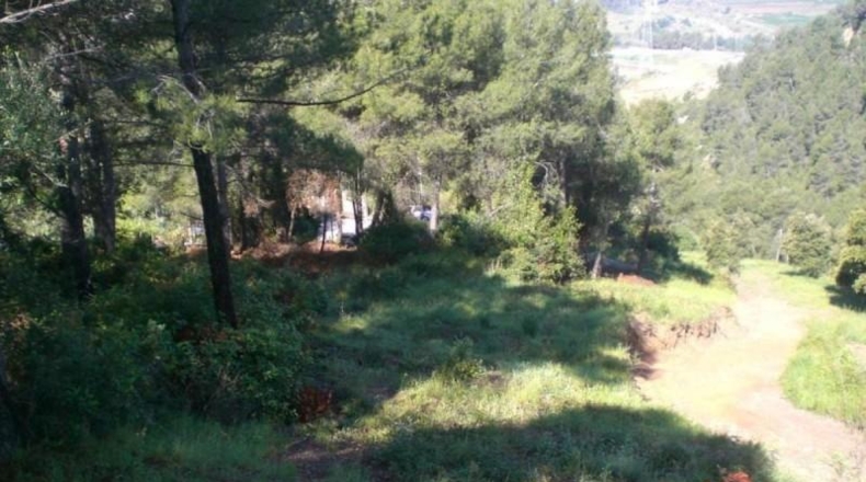 Barcelona - Abrera - 1243m2