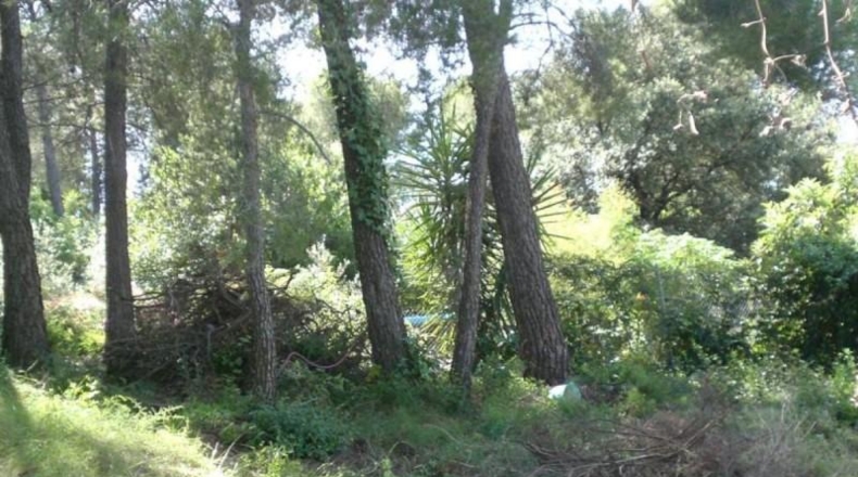 Barcelona - Abrera - 1243m2