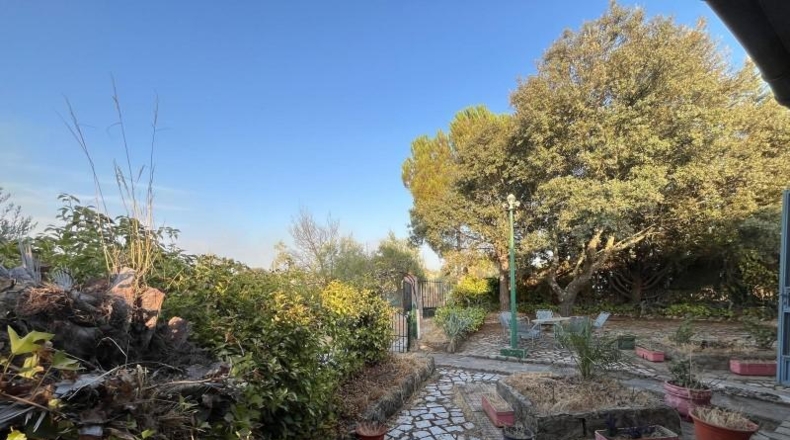 Caceres - Cáceres - 1363m2