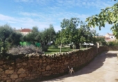 Urban land for sale on España, Aldea del Cano, ref: TR125668 photo