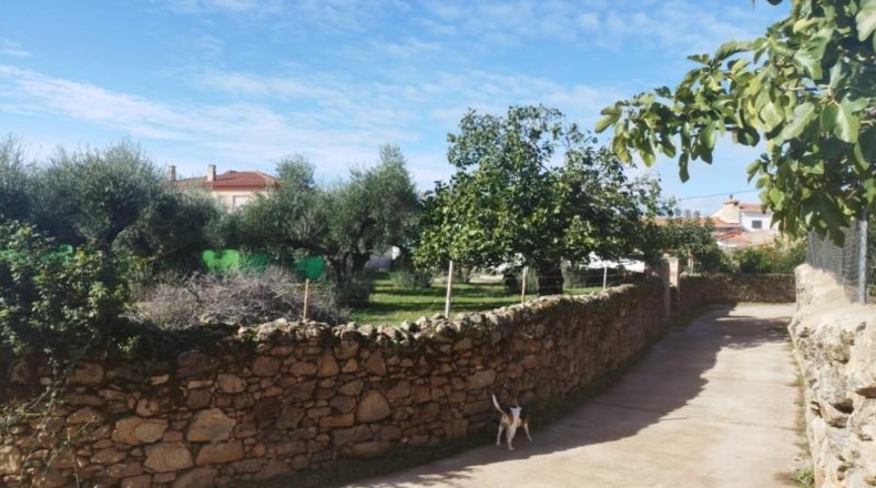 Cáceres - Aldea del Cano - 1100m2